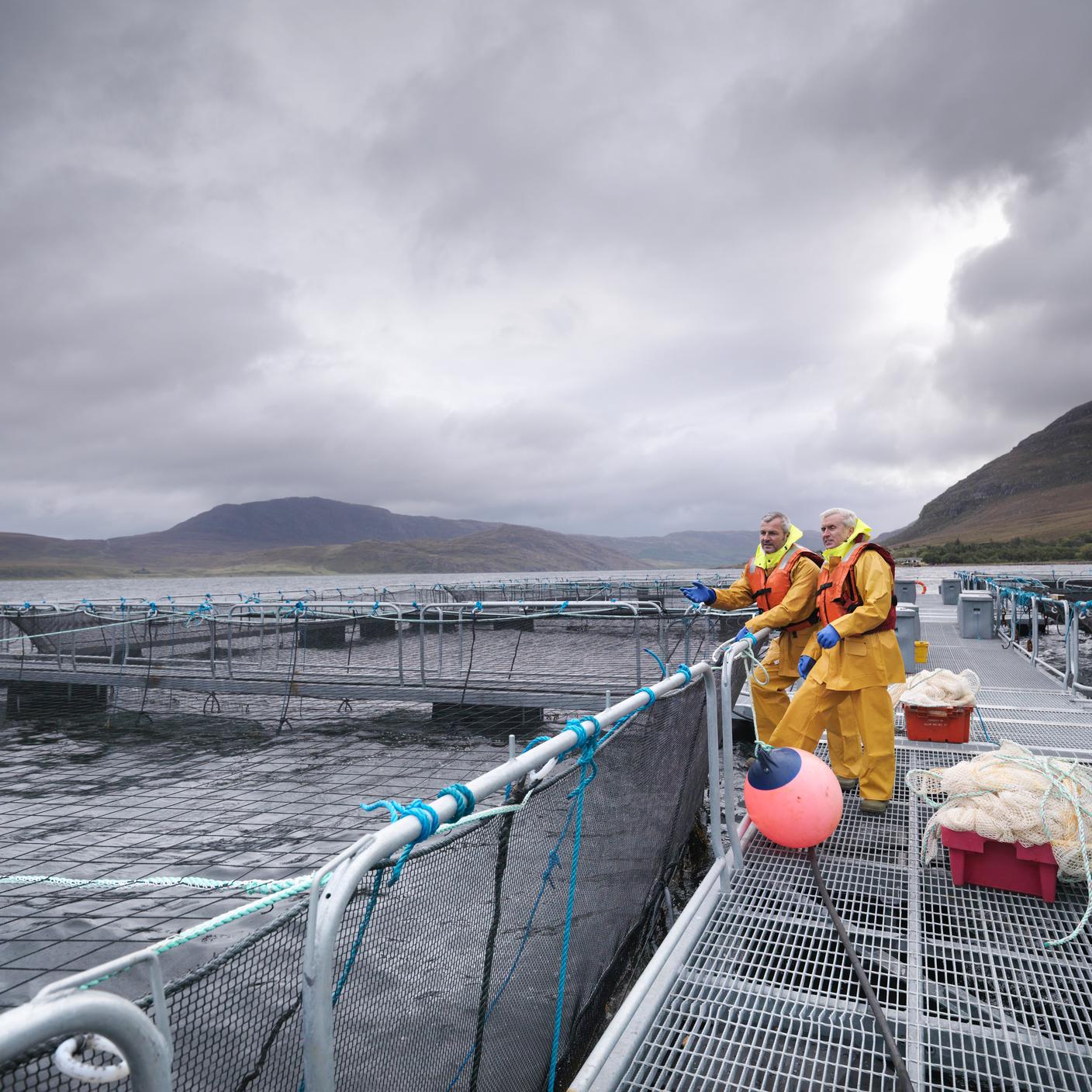 deux hommes travaillant sur un bras de mer