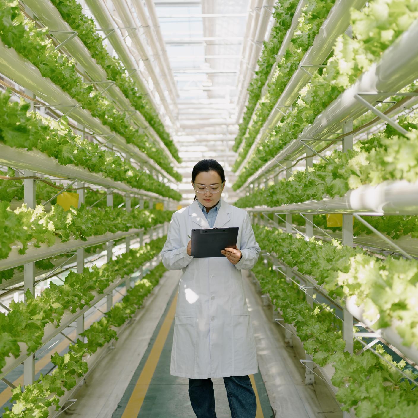 A woman looking at her screen in the middle of a green warehouse