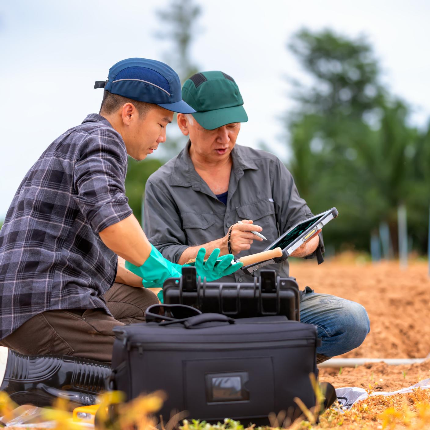 People in a field using a laptop