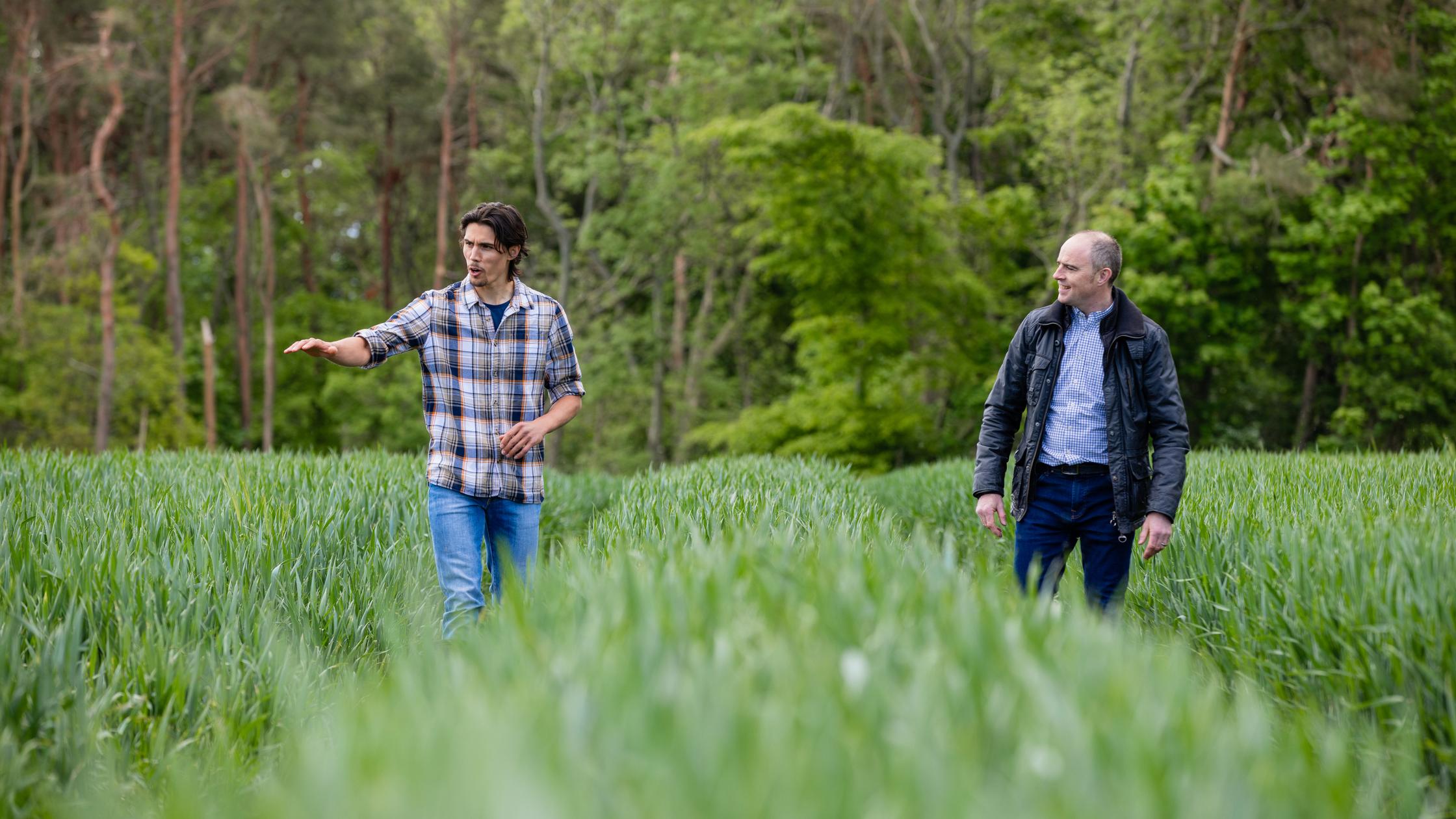 Deux hommes dans un jardin bio
