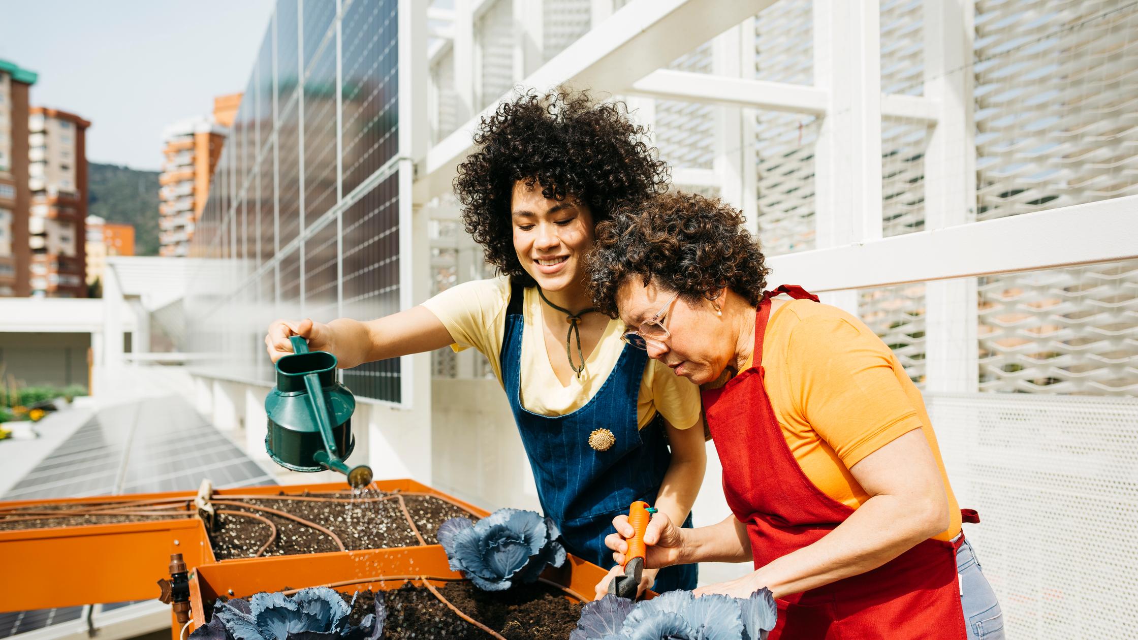 zwei Frauen bewässern einen Dachgarten mit Solarzellen